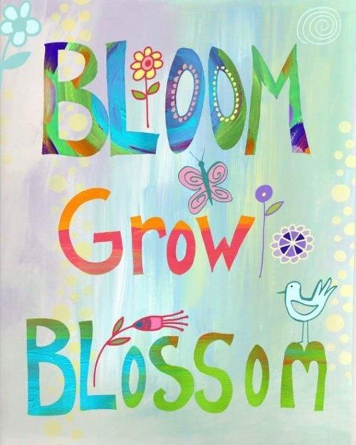 Bloom Grow Blossom